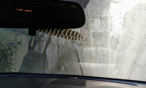 7. Windshields now have built-in technology 7. Windshields now have built-in technology