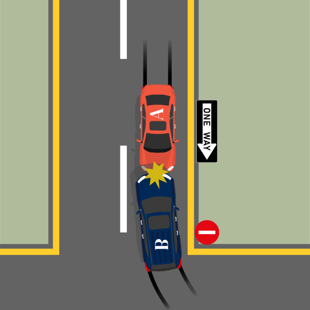 Driver Fails to Obey Sign or Direction_1